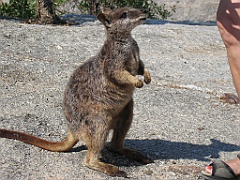 CairnsTC108 Granite Gorge